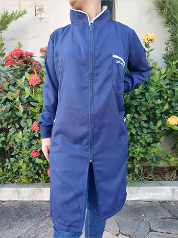 IMG_20250226_162006227 copiar